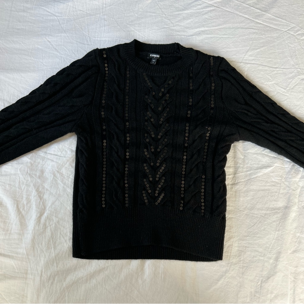 Express Sequin Sweater